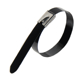 304 Stainless Steel Clamp with Coating